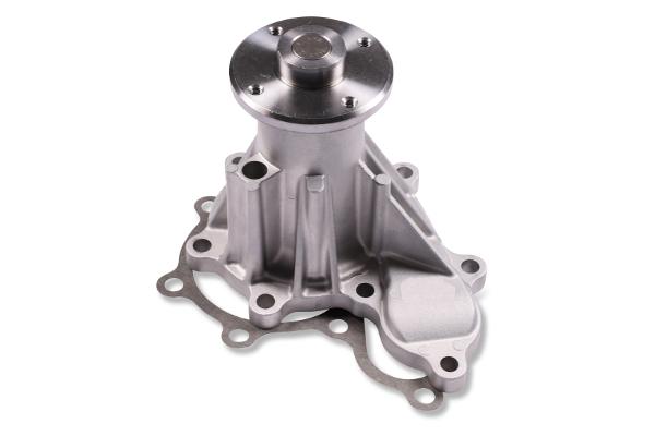 HEPU P7360 Water Pump,...